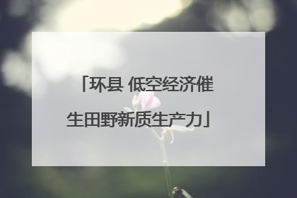 环县 低空经济催生田野新质生产力