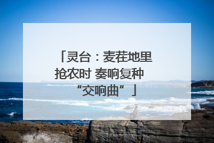 灵台：麦茬地里抢农时 奏响复种“交响曲”