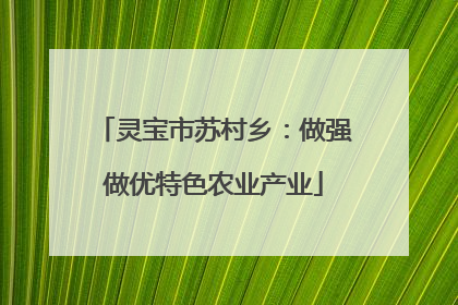 灵宝市苏村乡：做强做优特色农业产业