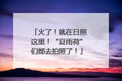 火了！就在日照这里！“夏雨荷”们都去拍照了！