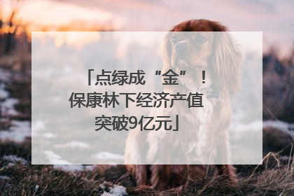 点绿成“金”！保康林下经济产值突破9亿元