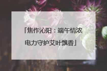 焦作沁阳：端午情浓 电力守护艾叶飘香