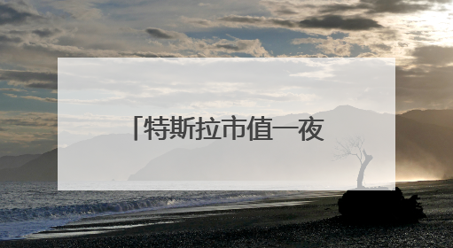 特斯拉市值一夜大涨4000亿