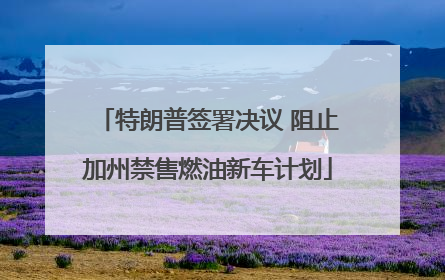 特朗普签署决议 阻止加州禁售燃油新车计划
