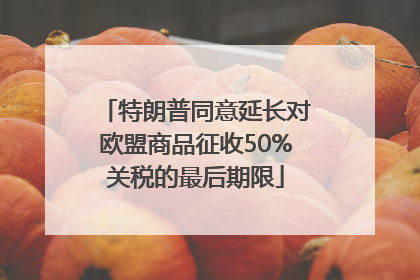 特朗普同意延长对欧盟商品征收50%关税的最后期限