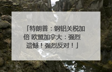 特朗普：钢铝关税加倍 欧盟加拿大：强烈遗憾！强烈反对！
