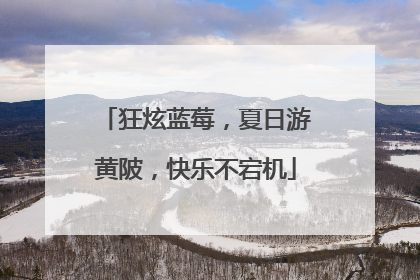 狂炫蓝莓，夏日游黄陂，快乐不宕机