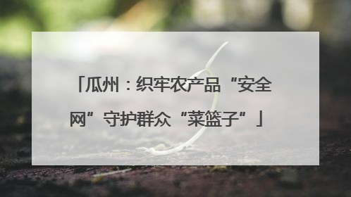 瓜州：织牢农产品“安全网”守护群众“菜篮子”