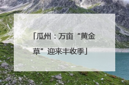 瓜州：万亩“黄金草”迎来丰收季