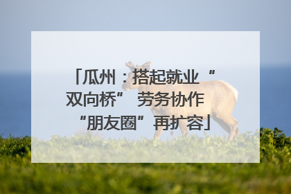 瓜州：搭起就业“双向桥” 劳务协作“朋友圈”再扩容