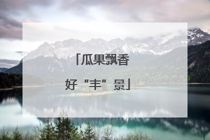 瓜果飘香 好“丰”景