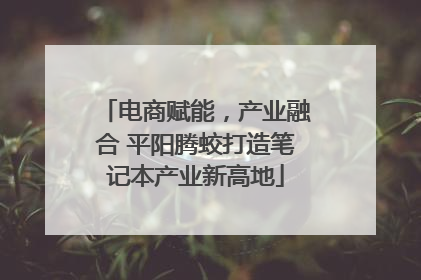 电商赋能，产业融合 平阳腾蛟打造笔记本产业新高地