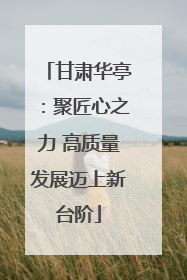 甘肃华亭：聚匠心之力 高质量发展迈上新台阶