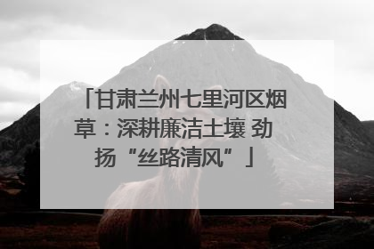 甘肃兰州七里河区烟草：深耕廉洁土壤 劲扬“丝路清风”