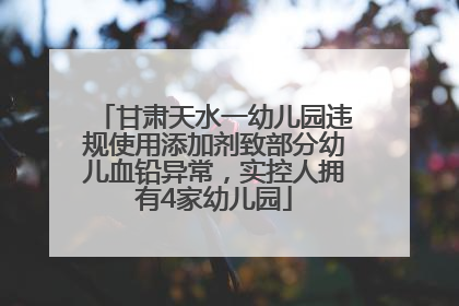 甘肃天水一幼儿园违规使用添加剂致部分幼儿血铅异常，实控人拥有4家幼儿园