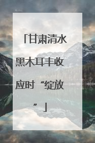 甘肃清水黑木耳丰收应时“绽放”