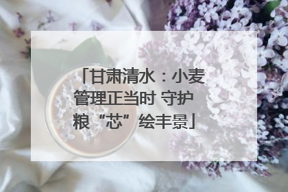 甘肃清水：小麦管理正当时 守护粮“芯”绘丰景
