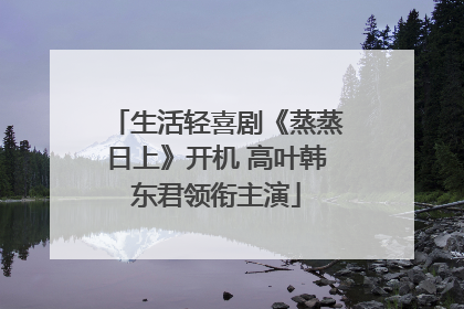 生活轻喜剧《蒸蒸日上》开机 高叶韩东君领衔主演