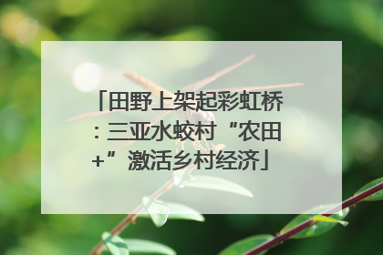 田野上架起彩虹桥：三亚水蛟村“农田+”激活乡村经济