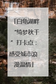 白龟湖畔“绮梦秋千”打卡点：感受城市浪漫温情