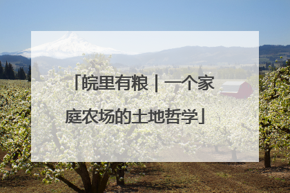 皖里有粮｜一个家庭农场的土地哲学