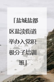 盐城盐都区盐渎街道举办入党积极分子培训班