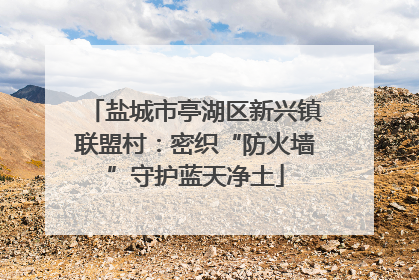 盐城市亭湖区新兴镇联盟村：密织“防火墙”守护蓝天净土