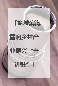 盐城滨海擂响乡村产业振兴“奋进鼓”