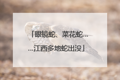 眼镜蛇、菜花蛇……江西多地蛇出没