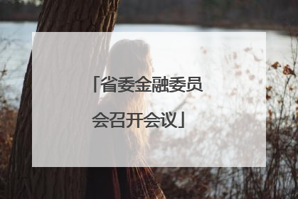 省委金融委员会召开会议
