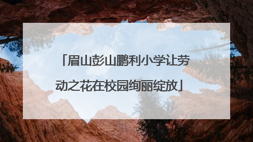 眉山彭山鹏利小学让劳动之花在校园绚丽绽放