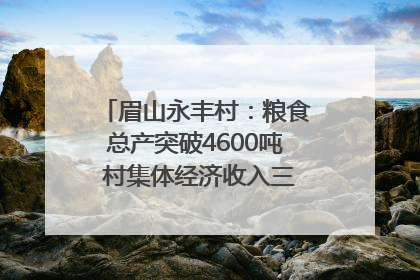 眉山永丰村：粮食总产突破4600吨 村集体经济收入三年倍增｜牵挂的村
