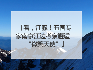 看，江豚！五国专家南京江边考察邂逅“微笑天使”