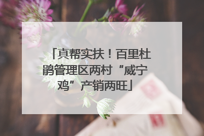 真帮实扶！百里杜鹃管理区两村“威宁鸡”产销两旺