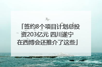 签约8个项目计划总投资203亿元 四川遂宁在西博会还推介了这些