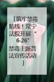 筑牢禁毒防线！常宁法院开展“6·26”禁毒主题普法宣传活动