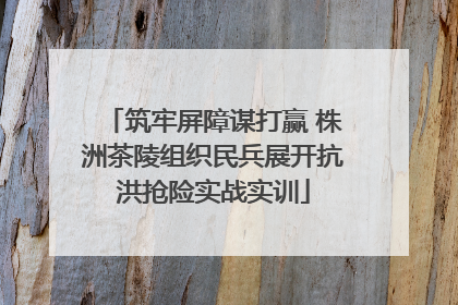 筑牢屏障谋打赢 株洲茶陵组织民兵展开抗洪抢险实战实训