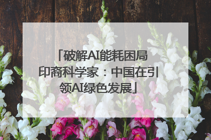 破解AI能耗困局 印裔科学家：中国在引领AI绿色发展