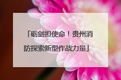 砺剑担使命！贵州消防探索新型作战力量