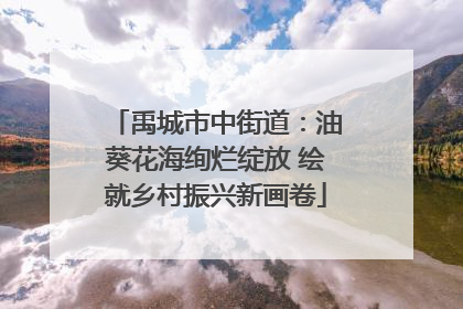 禹城市中街道：油葵花海绚烂绽放 绘就乡村振兴新画卷