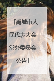 禹城市人民代表大会常务委员会公告