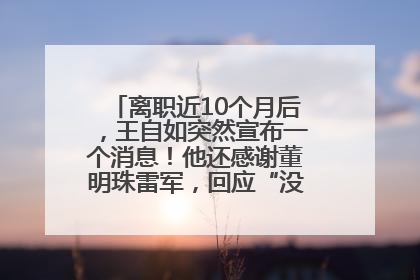 离职近10个月后，王自如突然宣布一个消息！他还感谢董明珠雷军，回应“没看过格力工资条”：真的不那么重要！