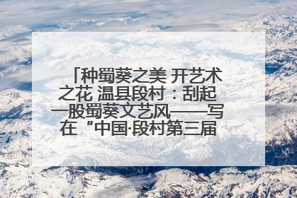 种蜀葵之美 开艺术之花 温县段村：刮起一股蜀葵文艺风——写在“中国·段村第三届蜀葵画展”开展之际