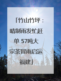 竹山竹坪：晴制雨发忙赶单 57吨大宗茶冒雨启运福建