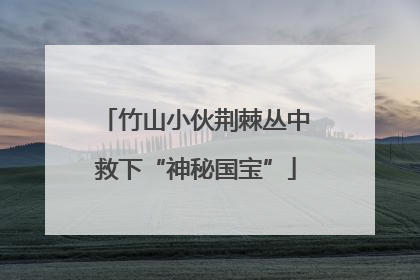 竹山小伙荆棘丛中救下“神秘国宝”