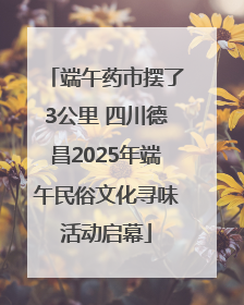 端午药市摆了3公里 四川德昌2025年端午民俗文化寻味活动启幕