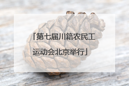 第七届川籍农民工运动会北京举行
