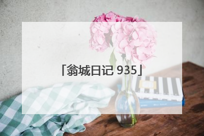 翁城日记 935