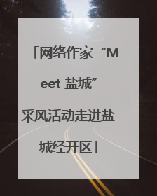 网络作家“Meet 盐城”采风活动走进盐城经开区