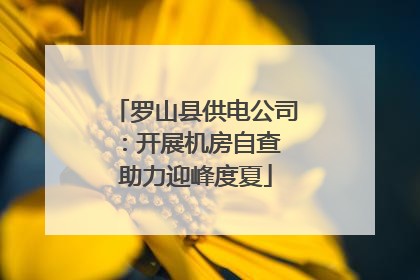 罗山县供电公司：开展机房自查 助力迎峰度夏
